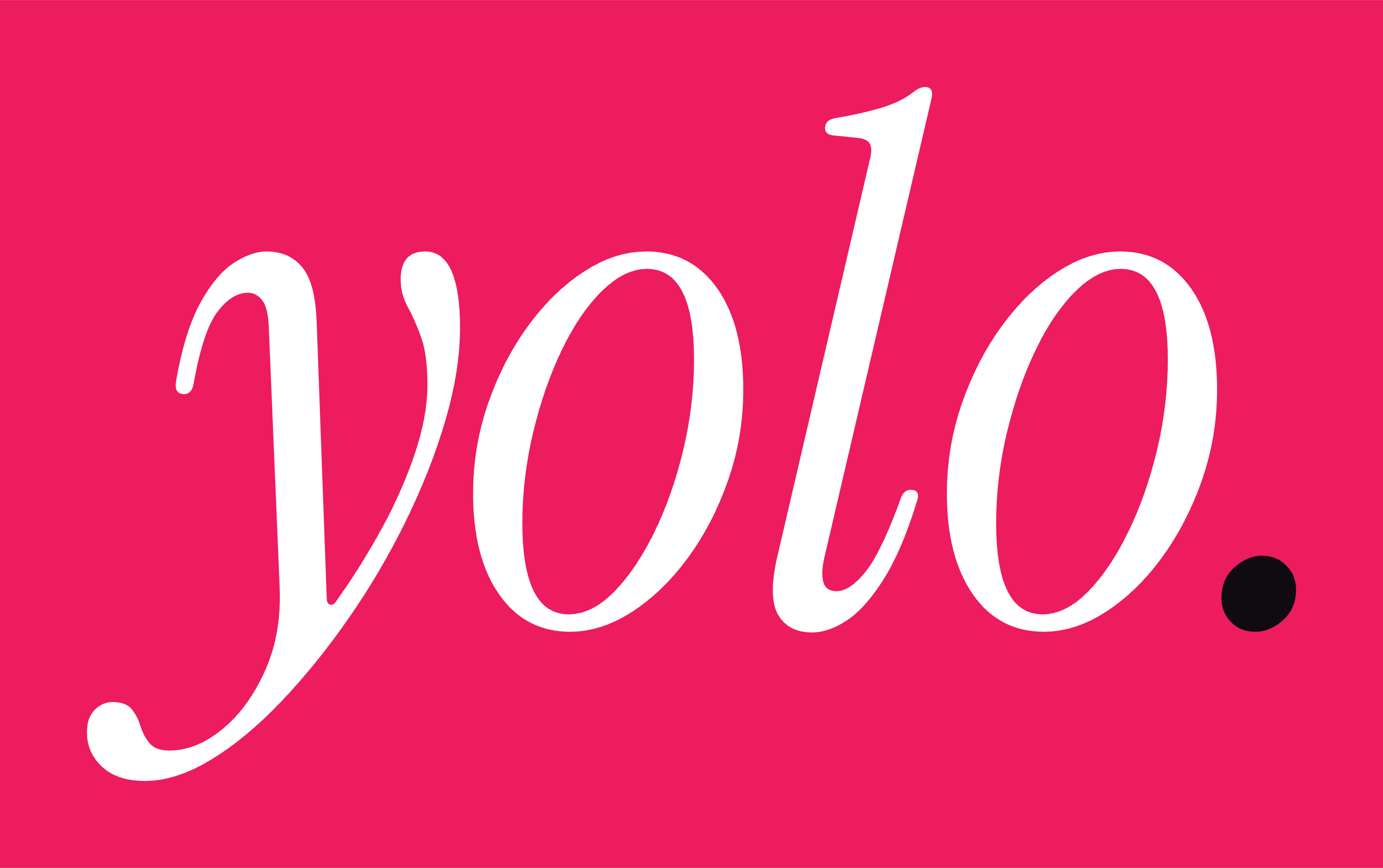 Yolo logo